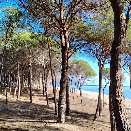 아파트 Sadomunostra 토르톨리