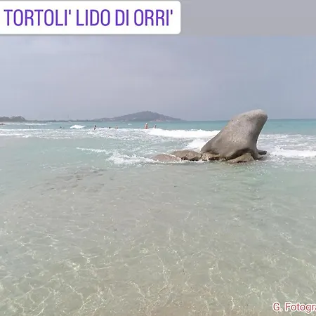 Sadomunostra Tortoli